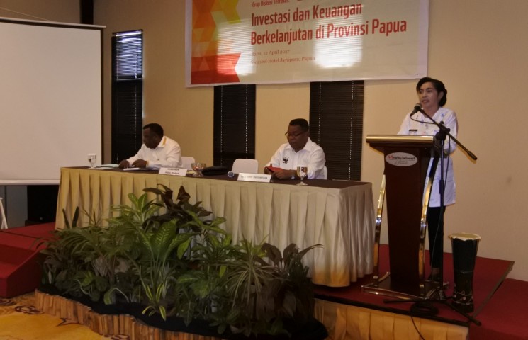 Pemprov Akan Kawal Setiap Investasi di Papua